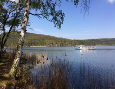 5 minut chůze k Máchovu jezeru