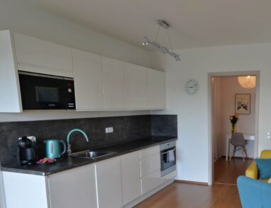 Plně vybavená kuchyně v apartmánu